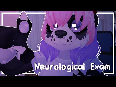 ASMR | Performing a Neurological Exam on you!