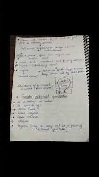 Human Reproduction made easy 💯 Best notes for quick understanding and revision
