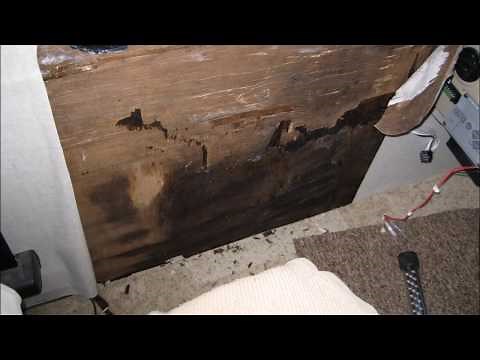How-To video: Sealing & caulking RV's, Motorhome, Trailers, Campers. Prevent Expensive Water Damage.