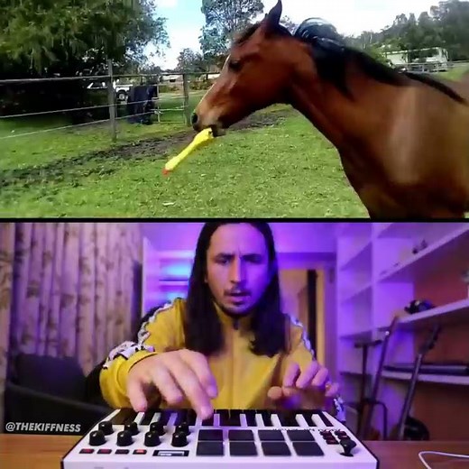 Techno Horse X The Kiffness (Squeeky Chicken Toy Remix)