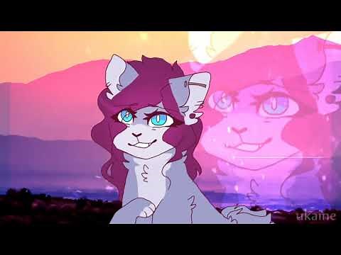 Top 5 Don't Forget about me meme