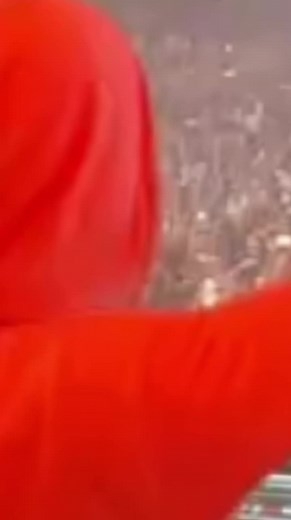 Alan Walker #alanwalkermusic #play 🥰🥰