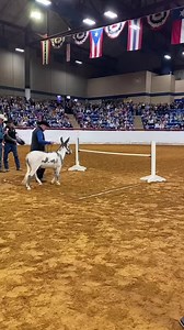 2023 FWSSR Cowboys of Color Rodeo