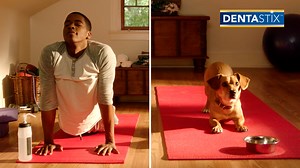 When You And Your Dog Get Ready The Same Way True love means sharing every moment together. | BuzzFeed Partner