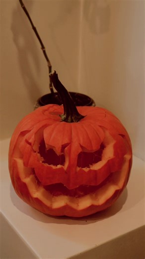 🎃 #halloween #fyp #pumpkin