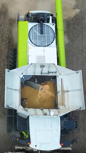 From above, harvest looks simple — but every bushel is a result of precision and control. ​ Watch the LEXION cut through a soybean field with ease. | Mountain View Equipment Co. | Facebook