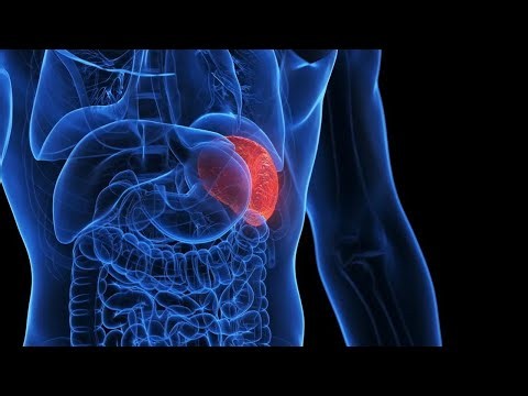 Spleen Disorders Explained | Splenic Rupture & Splenomegaly 🩺 Medical .