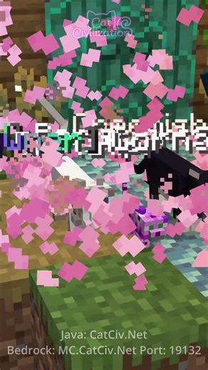 Best Minecraft Server 2026: CAT CIVILIZATION #minecraft #funnyanimal #cats #cute