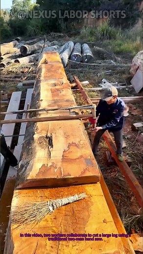 Traditional Two Man Hand Saw Wood Cutting #Shorts