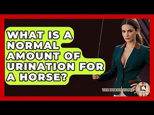 What Is A Normal Amount Of Urination For A Horse? - The Horses Stable