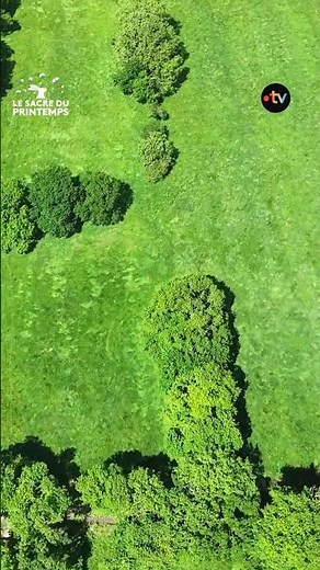 🌿✨ Prenez votre envol et admirez la beauté verdoyante de notre nature normande !