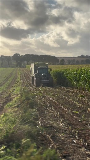 Bonne année 2026 à tous ! #fendt820 #maupu