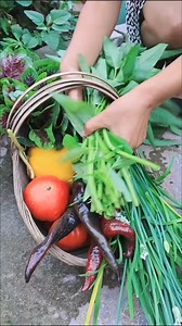 949K views · 10K reactions | Growing Your Own Food  Organic Vegetable Garden #vegetablegarden #gardening #growyourownfood #firsttimegardener #gardenlife #ediblegarden #veggiegarden #urbangarden #backyardgarden #gardenproject #mygarden #eatwhatyougrow #flowers #kitchengarden #lovegardening #pottedgarden #growsomethinggreen #urbangardeningideas | Pann Sophak | Facebook
