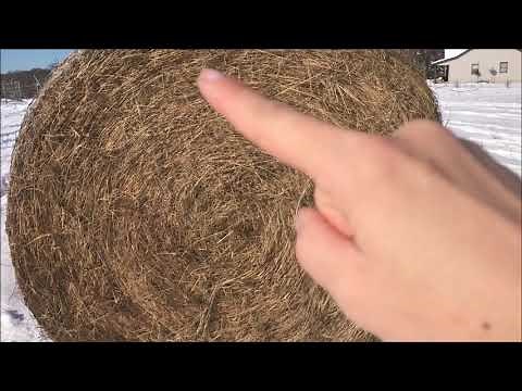 Farm Girl Friday #82 How to unroll a round hay bale by looking at core
