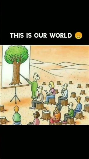 effect of cutting trees 🎄😞 #shorts #ytshorts #tree