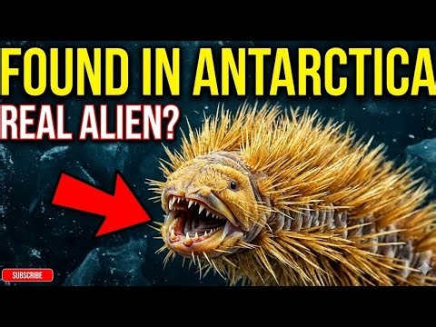 The Real Zombie Parasite! 10 Scariest Creatures on Earth Today
