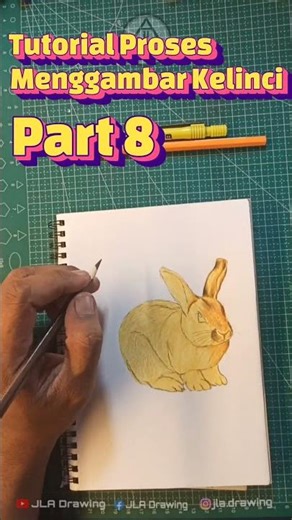 tutorial on the process of drawing rabbit part 8 #drawing #art #howtodraw #rabbit