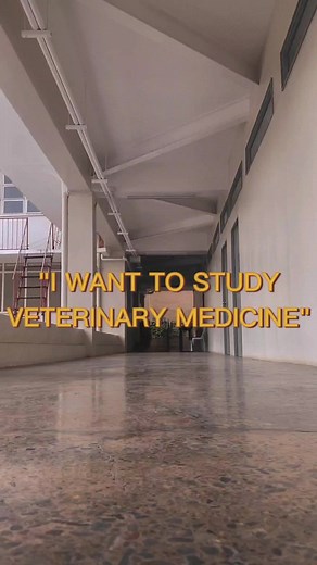 Becoming a Certified Veterinarian: Essential Subjects and Courses Revealed