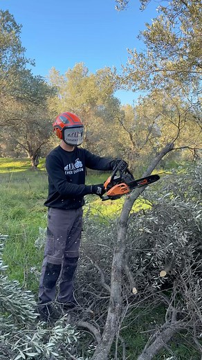 VISCO VC286T EVO – Ελαφρύ, δυνατό και έτοιμο για δουλειά Η εποχή του κλαδέματος αλλά και της προετοιμασίας ξύλων για το τζάκι ή τη σόμπα έφτασε. Αν χρειάζεστε ένα αλυσοπρίονο με μικρό βάρος, συμπαγές μέγεθος και εύκολο χειρισμό, το VISCO VC286T EVO της ViscoParts είναι μία από τις καλύτερες επιλογές. Το χρησιμοποιώ τα τελευταία δύο χρόνια και πραγματικά με έχει βολέψει απίστευτα, κυρίως χάρη στο χαμηλό του βάρος που το κάνει ιδανικό για ξεκλάδισμα, αλλά φυσικά μπορεί να κόψει άνετα και τα ξύλα γ