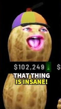 Peanut Became a MONEY PRINTER With The Havok…