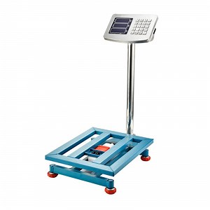 [Hot Item] Ts8001 300kg Counting Industrial Platform Scale Digital Weighing Scale
