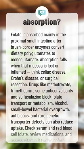 What blocks folate absorption?