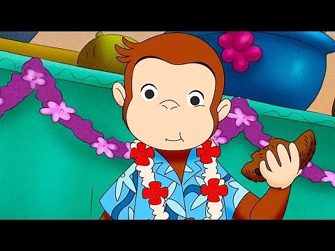 Jorge el Curioso en Español 🐵El Regalo Misterioso de Jorge 🐵Caricaturas para Niños