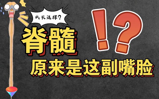 【解剖百科】学习脊髓的位置与形态！原来那么简单！