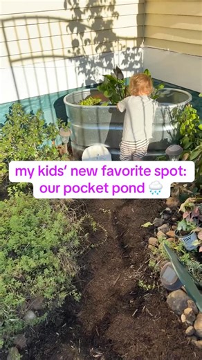 I loved creating this little space for nature in a corner of our yard! This water trough doubles as a tiny pond and rain catchment for our roof runoff. Lots of love to @nelsonwatergardens for all of their help!! #diygarden #pond #nativeplants | Rharian Fields