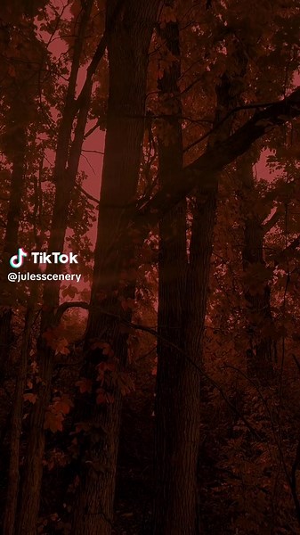 #autumn #fall #scenery | scenery