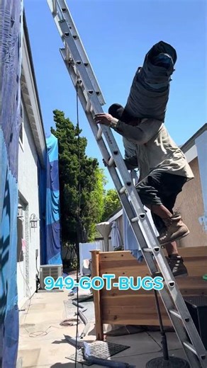 Tenting for Drywood termite (structural fumigation)