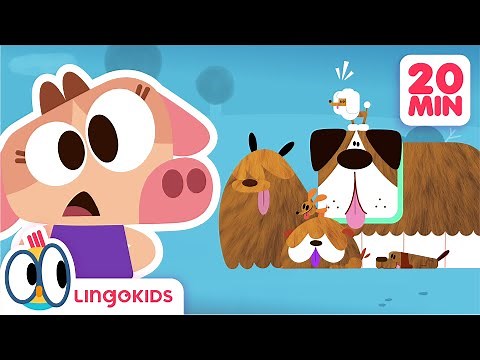 HOW TO TAKE CARE OF PETS 🐾 Learn about animals 🐶 Lingokids Cartoons