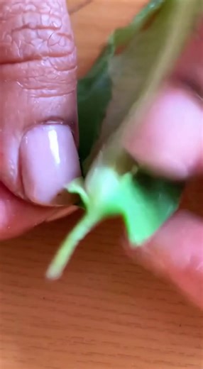 How to Make a Phone Charger from Scratch