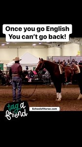 224K views · 2.8K reactions | That one time during the All Breed riding demo. All just in fun, but you have to admit…it’s kinda true.  Tag an English/Dressage rider Rider. #troton #andcanter #trotsy #steverotherhorsemanship #schoolofhorse | Steve Rother Horsemanship - The School of Horse | Facebook