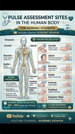 👉 Major Pulse Sites in Human Body | Important Nursing Questions & Answers 🩺