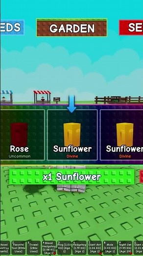 Opening the RAREST EXOTIC SEED PACK For RAINBOW SUNFLOWER | Roblox Grow A Garden!