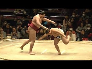 Sumo wrestling: children VS champs