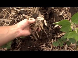 No-till farming reduces soil erosion and improves soil health and water quality