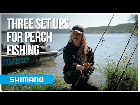 Three set ups for perch fishing - What Shimano Rod, Reel, Line and Lure to choose?