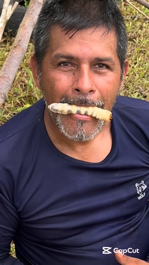 Jose Reinaldo Mesa on Instagram: "Quieres aprender a sobrevivir un gusano al año no ase daño #mundo #viralreelschallenge #seguidores"