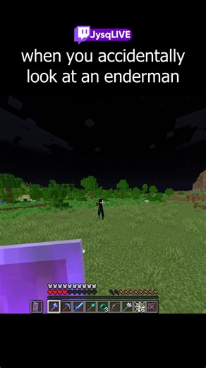 average reaction to looking at an enderman #minecraftmemes #minecraft | Harvey Middleton