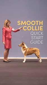 6.1K views · 65 reactions | Need to know where to start with your...