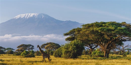 Scientists have discovered two giant mystery structures lurking under Africa