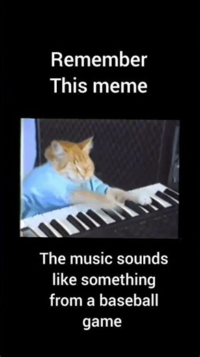 remember this meme #cat #meme #shorts