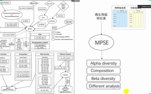 16S分析R包MicrobiotaProcess