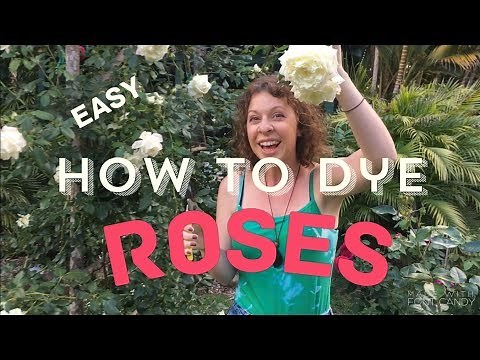 How to Dye Roses - EASY