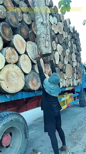 Lifting Logs: The Art of Efficient Loading
