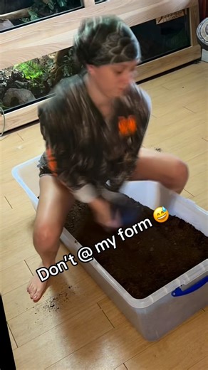 Steffanie Maynard on Instagram: "How I build my Texas millipede setup with real hog skull 🫶🏻🤙🏼 #millipede #invertebrates #animals #exoticpets #enclosures"