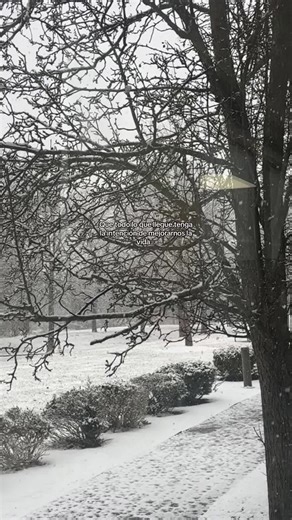 🍒 (@step.1995)’s videos with sonido original - J📍