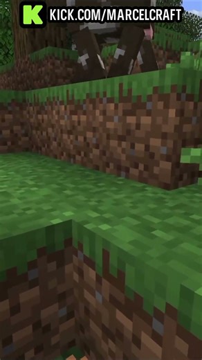 Marcel Meets an Angry Wolf in Minecraft